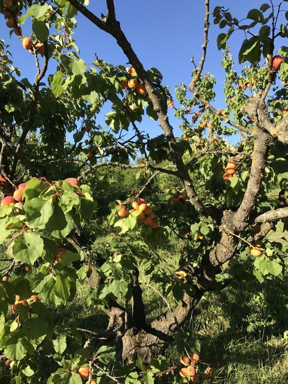 Agriturismo Ca Lunati Hotel Castelletto Mendosio Luaran gambar