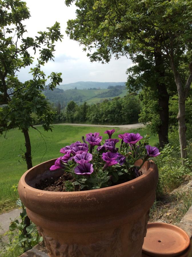 Agriturismo Ca Lunati Hotel Castelletto Mendosio Luaran gambar