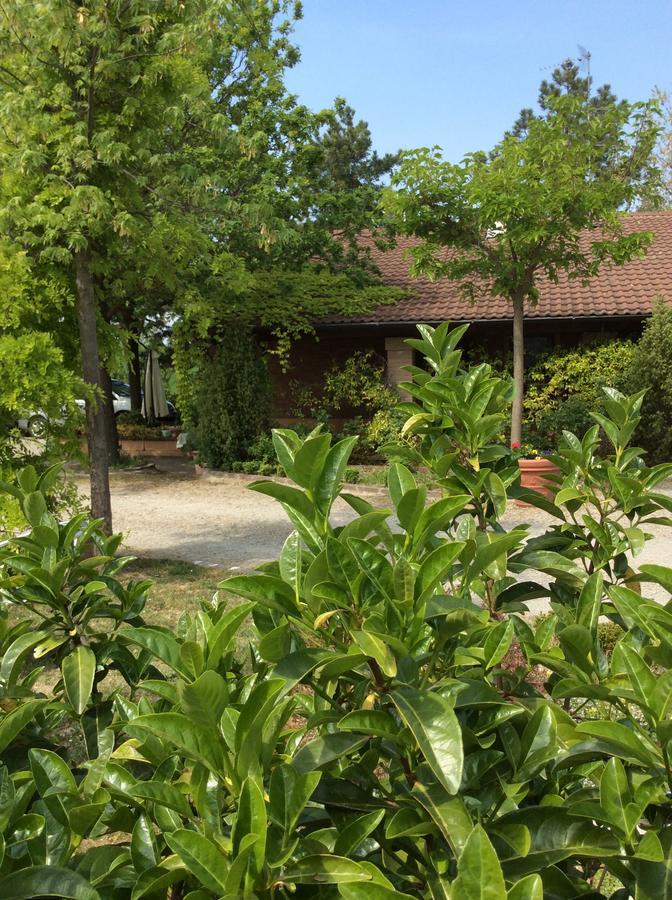 Agriturismo Ca Lunati Hotel Castelletto Mendosio Luaran gambar